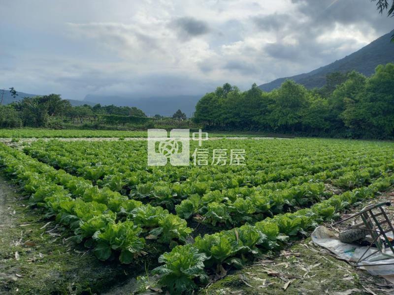 花蓮優美農地房屋室內格局與周邊環境