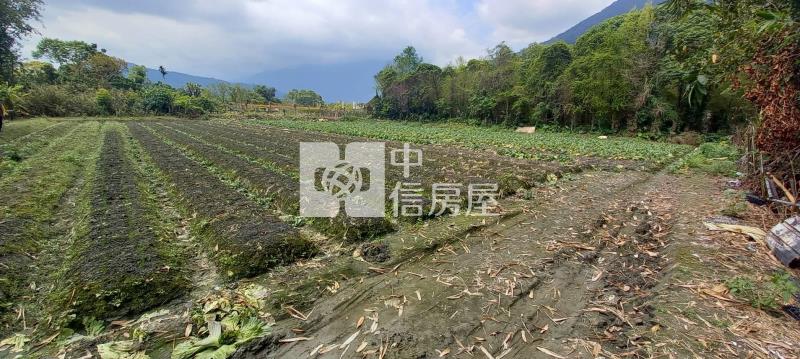 花蓮優美農地房屋室內格局與周邊環境