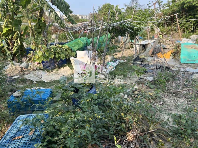 新市近南科大面寬好便宜農地房屋室內格局與周邊環境