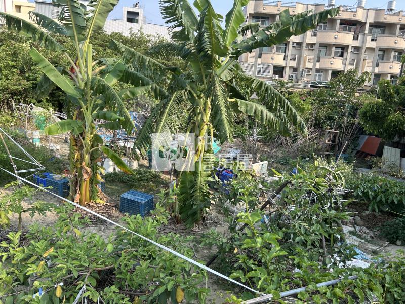 新市近南科大面寬好便宜農地房屋室內格局與周邊環境