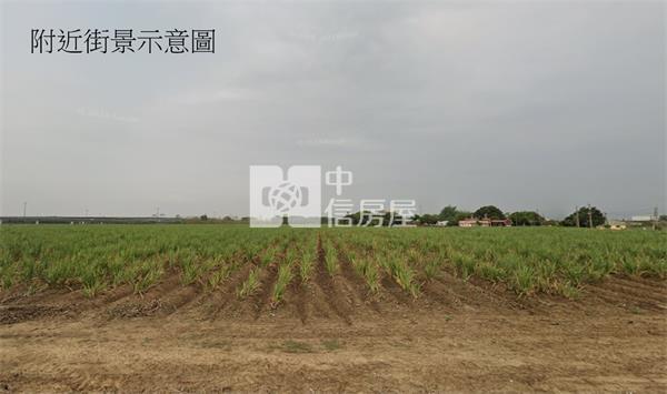 鹿草下麻村499坪特農房屋室內格局與周邊環境
