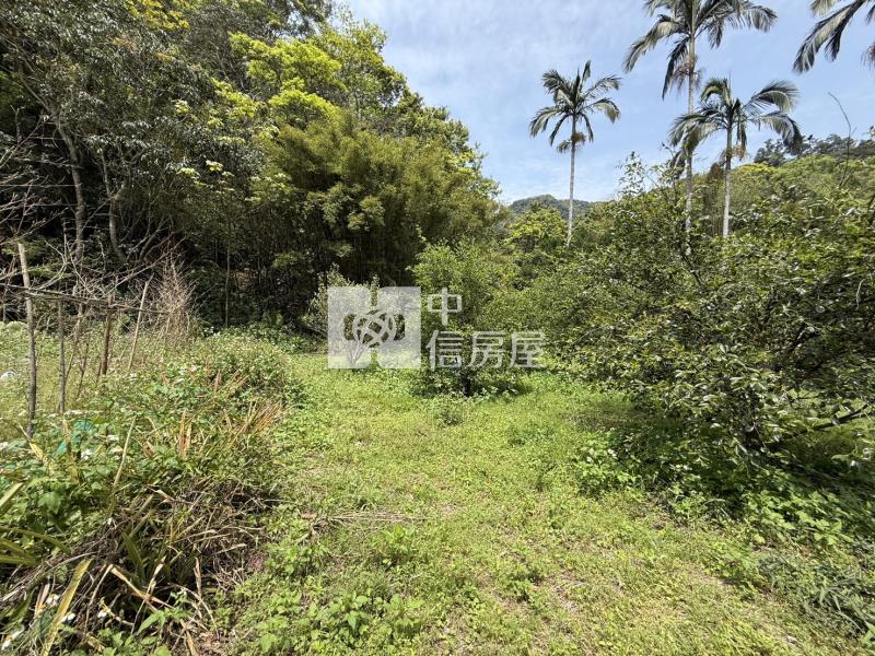 關西錦山國小山坡地+小丙建房屋室內格局與周邊環境