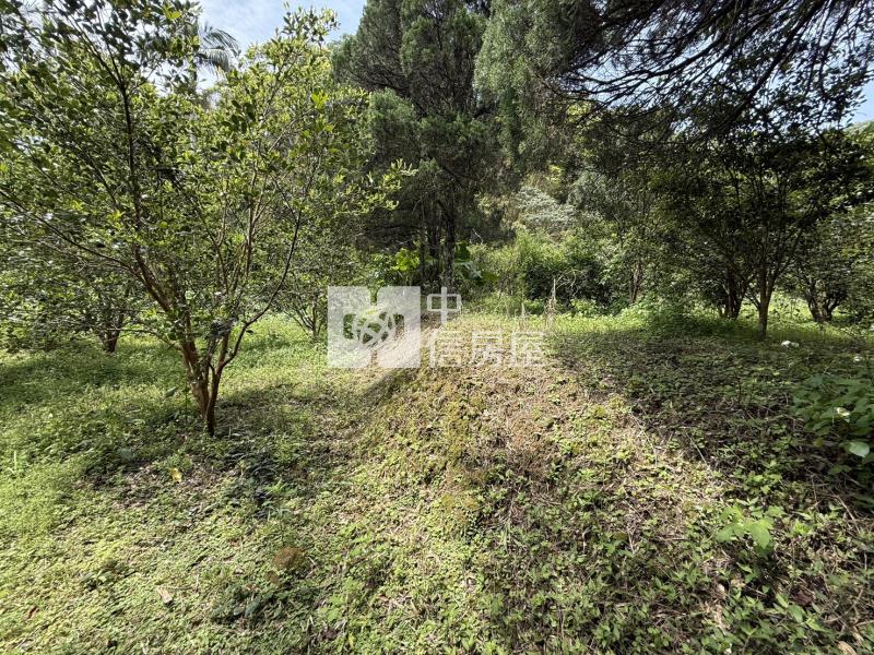 關西錦山國小山坡地+小丙建房屋室內格局與周邊環境