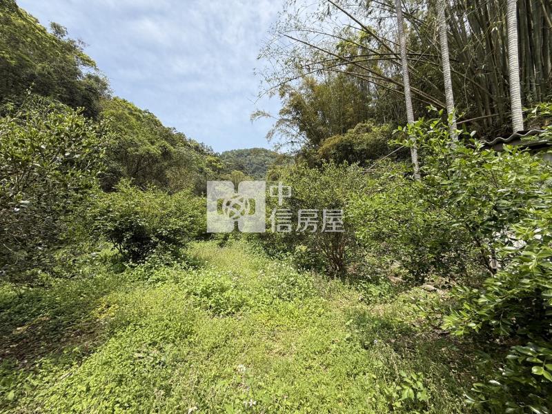 關西錦山國小山坡地+小丙建房屋室內格局與周邊環境