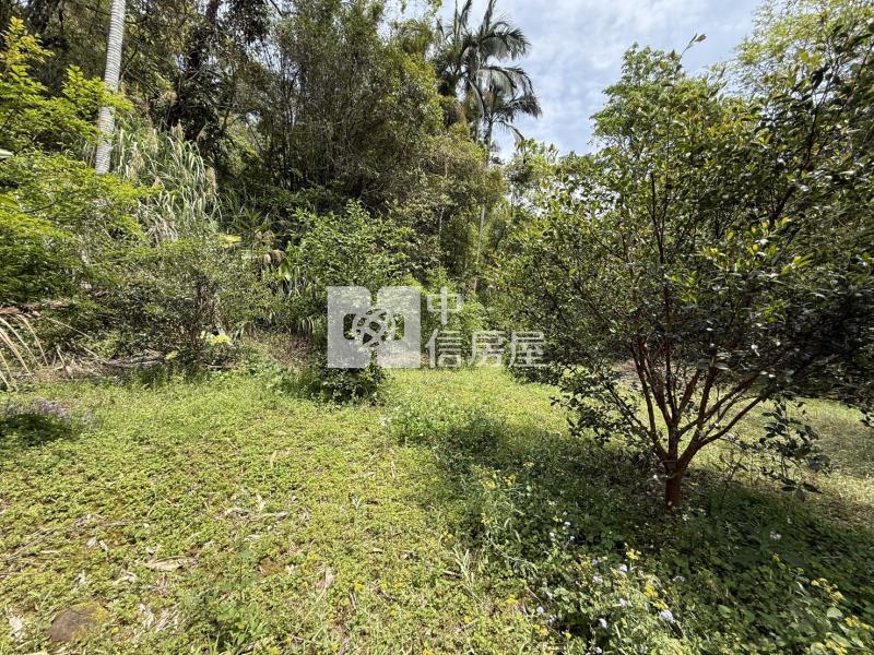 關西錦山國小山坡地+小丙建房屋室內格局與周邊環境