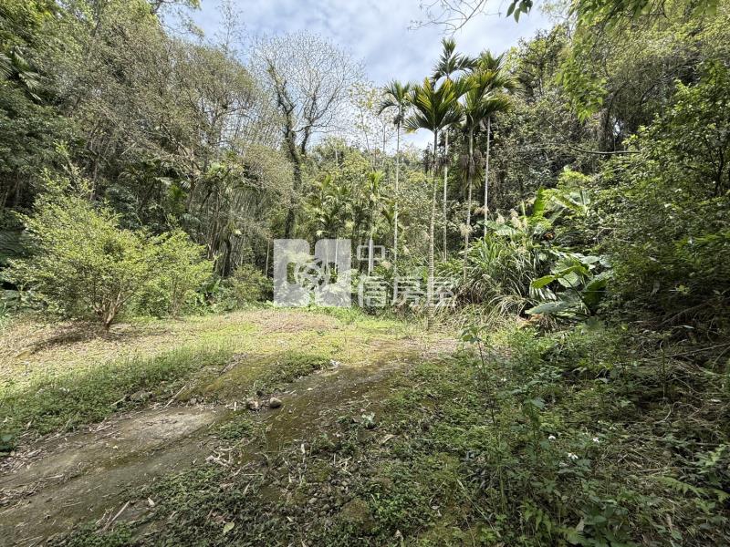 關西錦山國小山坡地+小丙建房屋室內格局與周邊環境