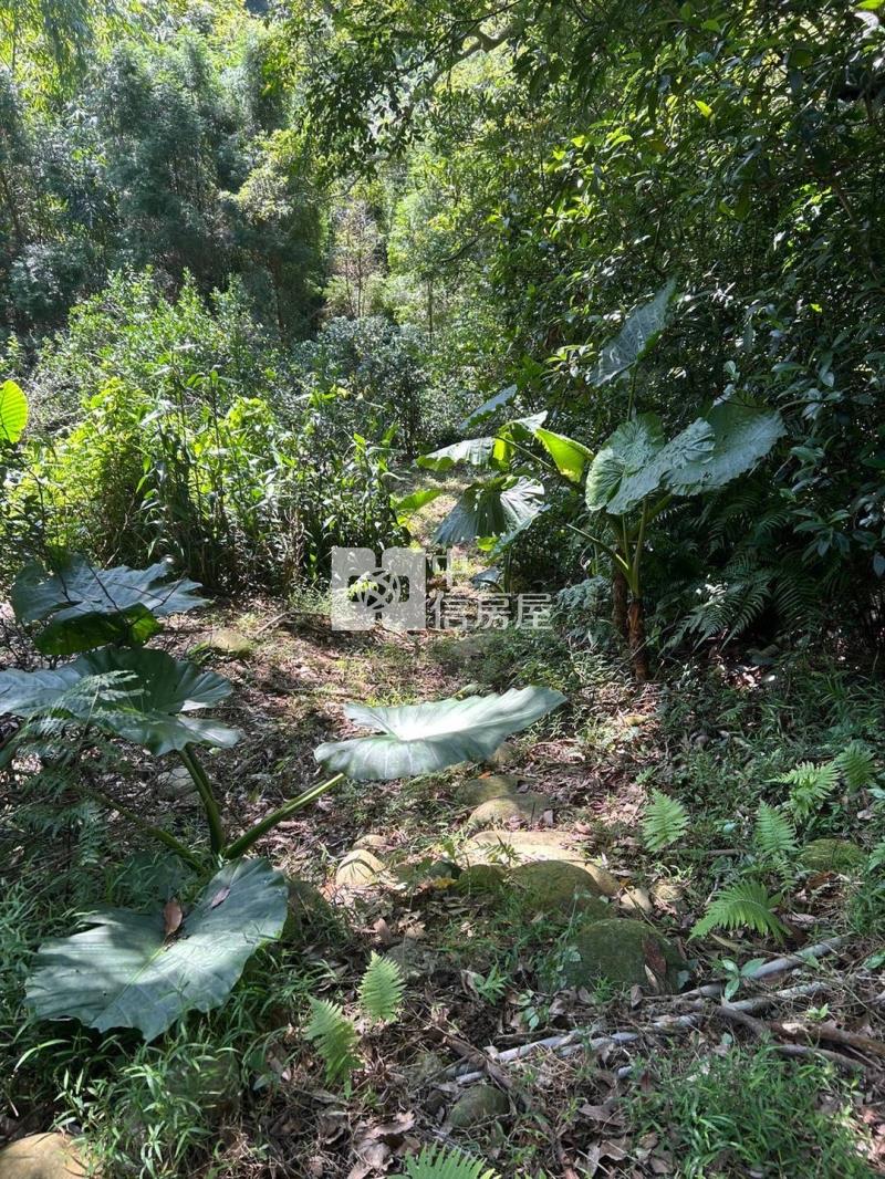 關西_近六福村大坪數便宜農地房屋室內格局與周邊環境