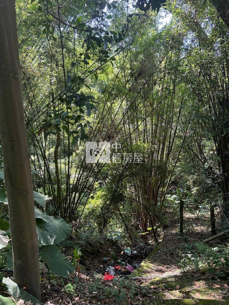 關西_近六福村大坪數便宜農地房屋室內格局與周邊環境