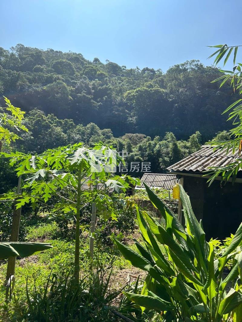 關西_近六福村大坪數便宜農地房屋室內格局與周邊環境