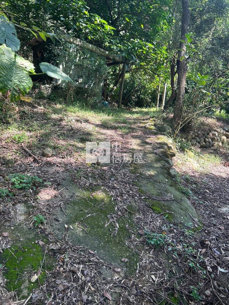 關西_近六福村大坪數便宜農地房屋室內格局與周邊環境