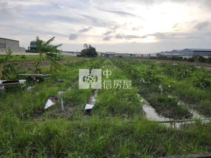 近高鐵方正美農地房屋室內格局與周邊環境