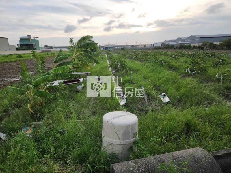 近高鐵方正美農地房屋室內格局與周邊環境