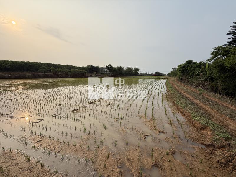近青埔高鐵南路美農地(低於實登)房屋室內格局與周邊環境
