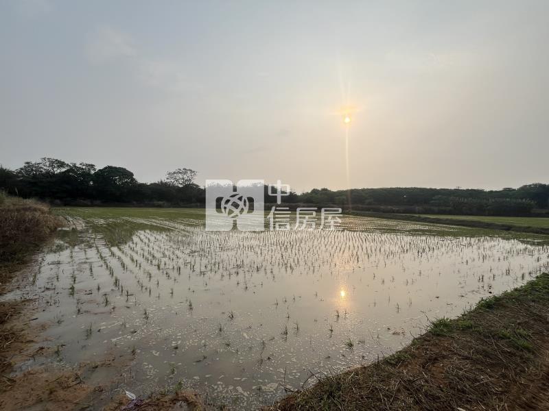 近青埔高鐵南路美農地(低於實登)房屋室內格局與周邊環境
