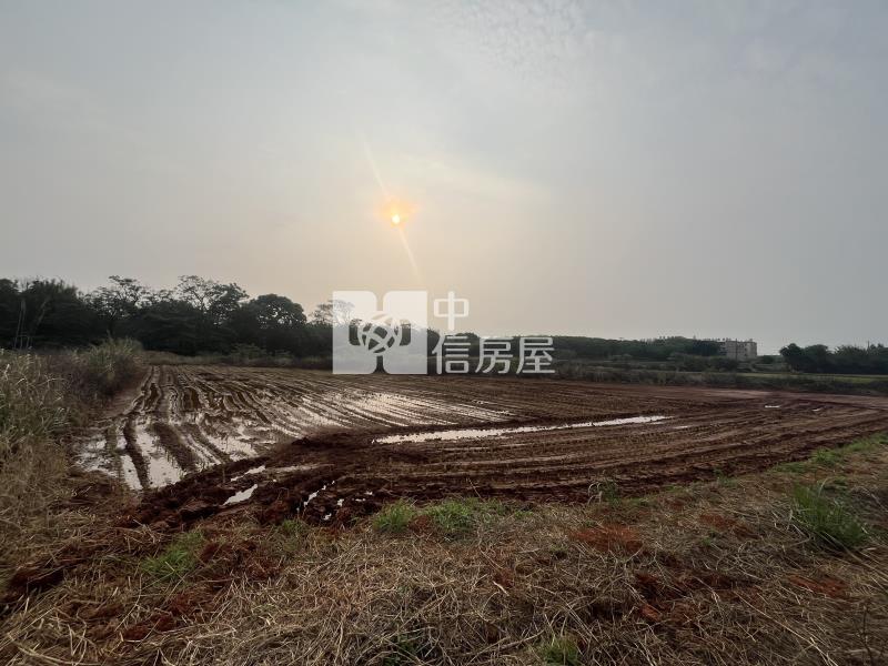 近青埔高鐵南路美農地(低於實登)房屋室內格局與周邊環境