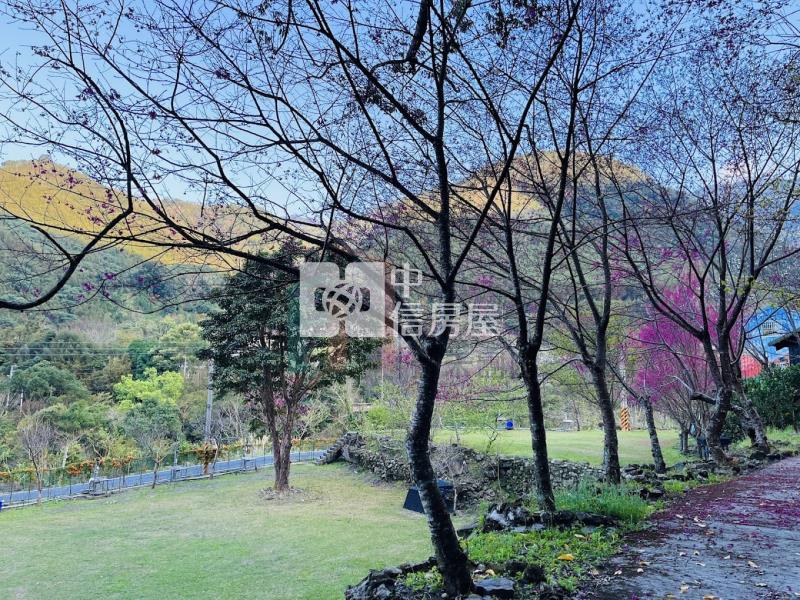 【豐禾】新竹尖石露營美地（可直接營業）房屋室內格局與周邊環境