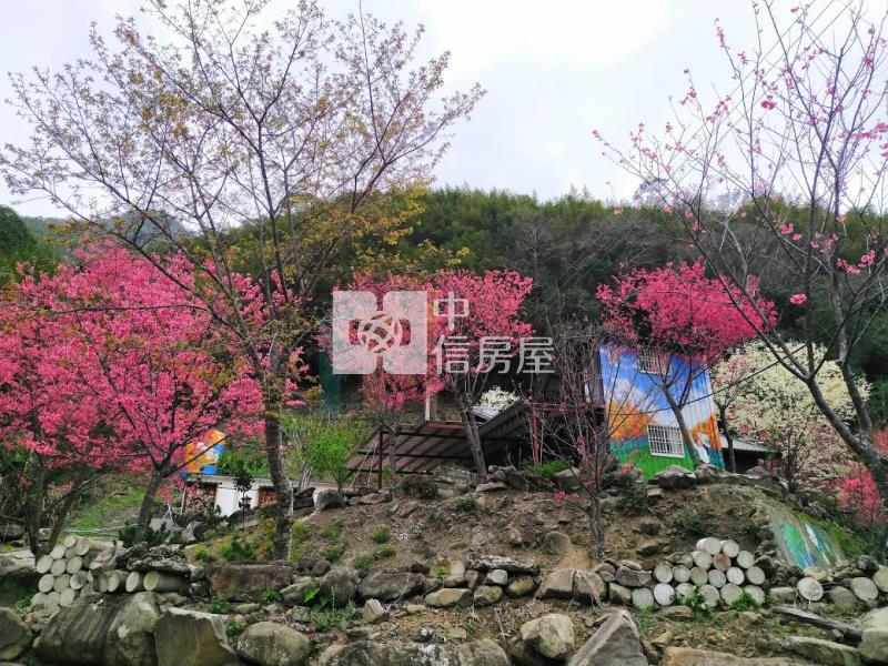 【豐禾】新竹尖石露營美地（可直接營業）房屋室內格局與周邊環境