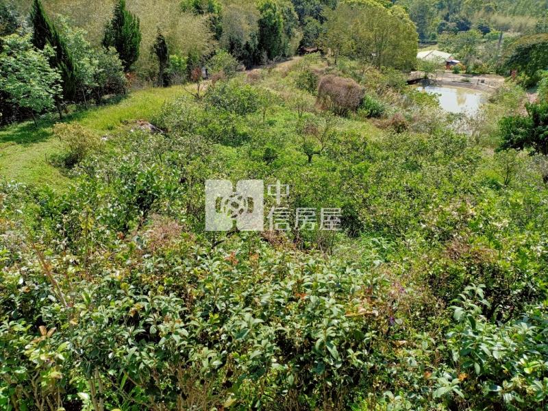 竹科近寶山水庫夢幻花園房屋室內格局與周邊環境