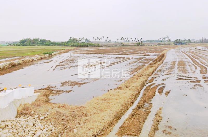 嘉義土地 嘉義民雄東湖大地坪便宜農地房屋室內格局與周邊環境