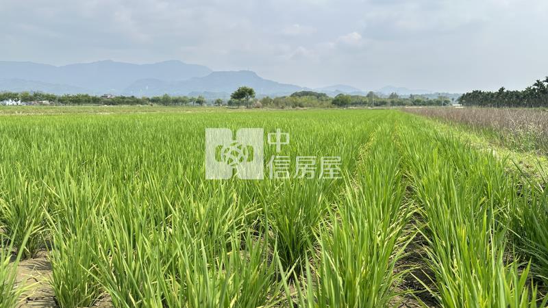 白河幽美正農地(A)房屋室內格局與周邊環境
