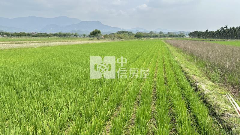 白河幽美正農地(B)房屋室內格局與周邊環境