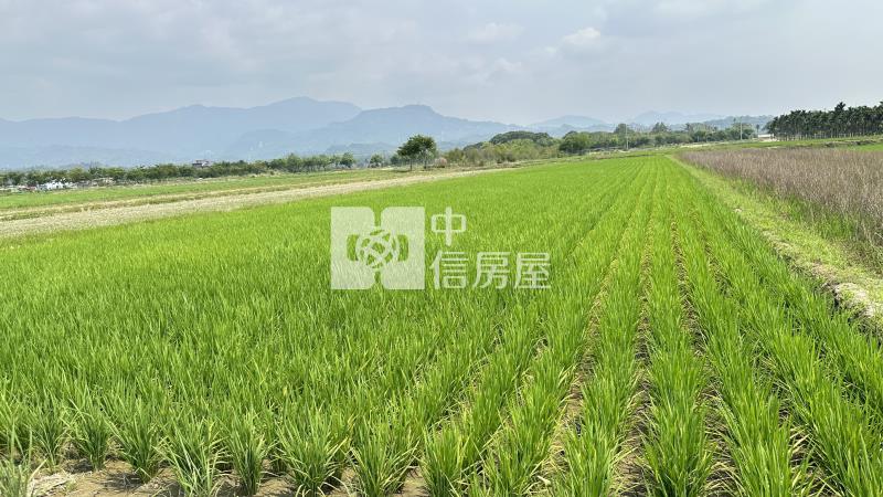 白河幽美正農地(B)房屋室內格局與周邊環境
