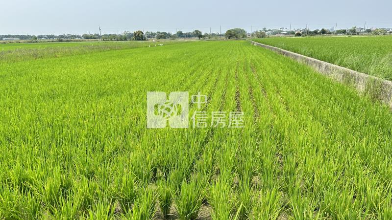 白河幽美正農地(B)房屋室內格局與周邊環境
