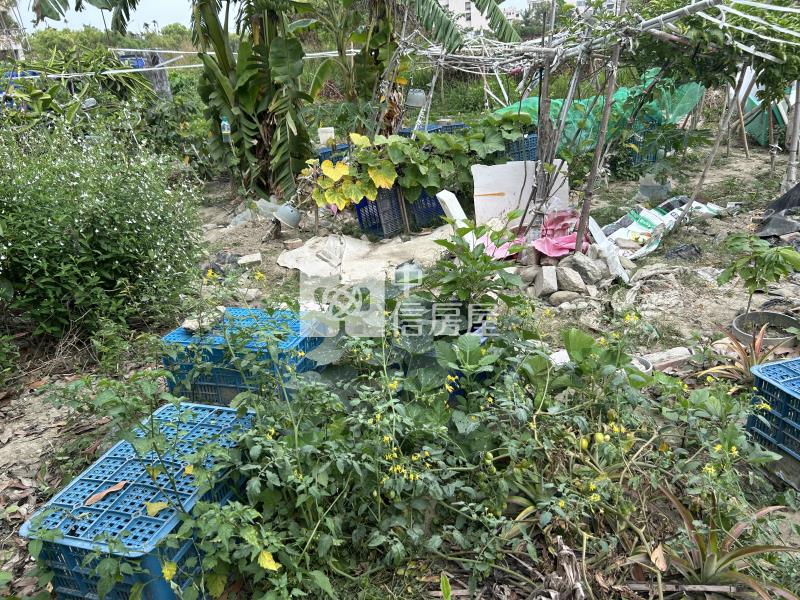 南科旁重畫好方正農地房屋室內格局與周邊環境