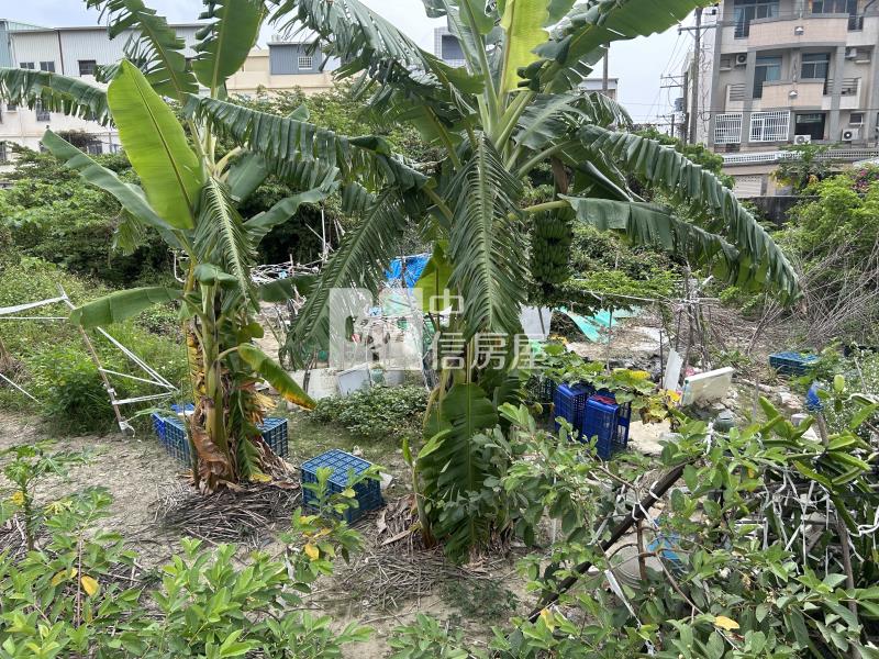 南科旁重畫好方正農地房屋室內格局與周邊環境