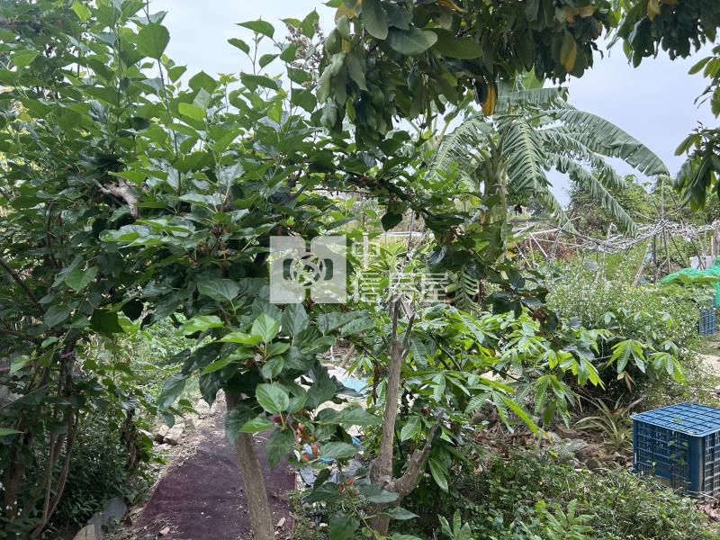 南科旁重畫好方正農地房屋室內格局與周邊環境