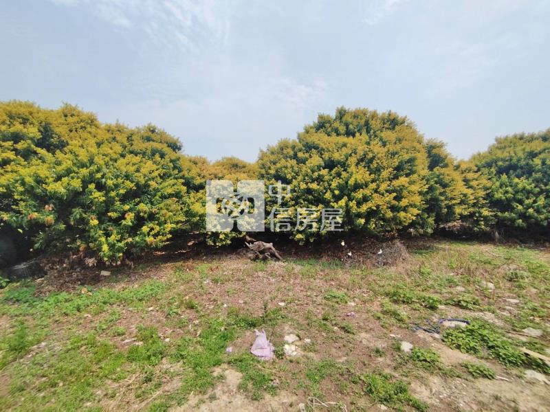 神岡消防隊旁雙面臨路農地房屋室內格局與周邊環境
