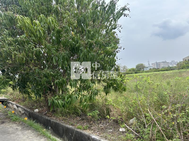 新市近南科大面寬超值農地房屋室內格局與周邊環境