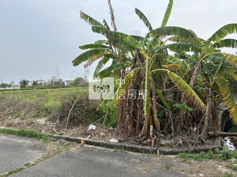 新市近南科大面寬超值農地房屋室內格局與周邊環境