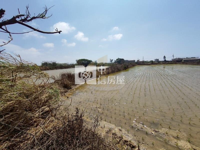 【玖禾】觀音區公所旁都計持分田房屋室內格局與周邊環境