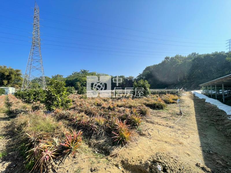 山上區花園水道博物館旁一般農地房屋室內格局與周邊環境