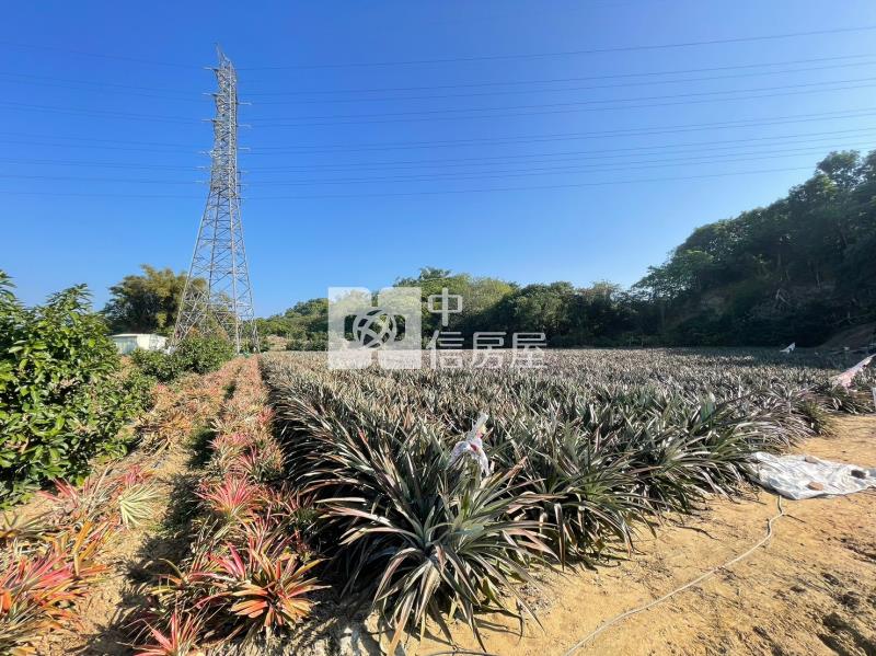 山上區花園水道博物館旁一般農地房屋室內格局與周邊環境