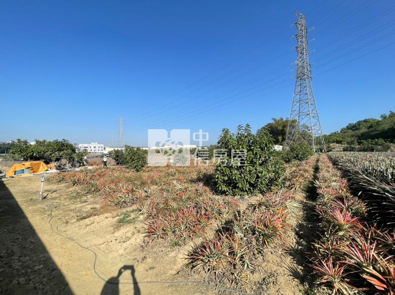 山上區花園水道博物館旁一般農地房屋室內格局與周邊環境