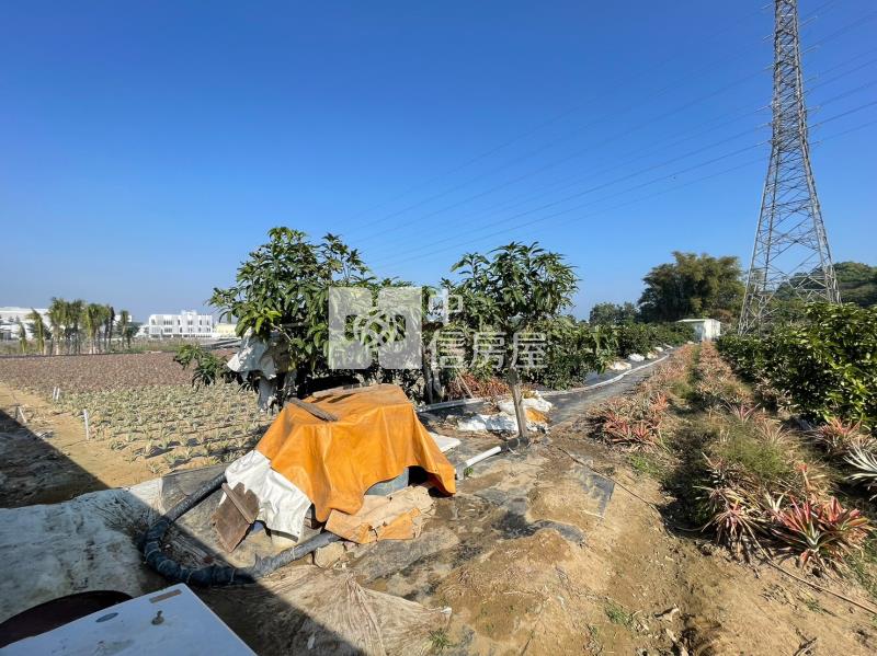 山上區花園水道博物館旁一般農地房屋室內格局與周邊環境