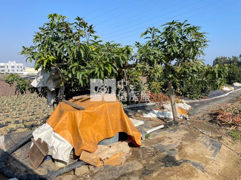 山上區花園水道博物館旁一般農地房屋室內格局與周邊環境