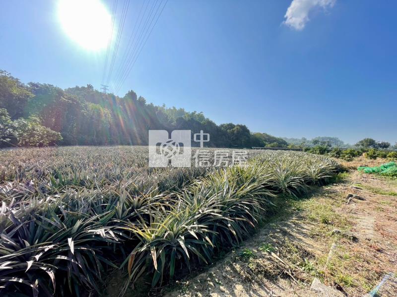 山上區花園水道博物館旁一般農地房屋室內格局與周邊環境