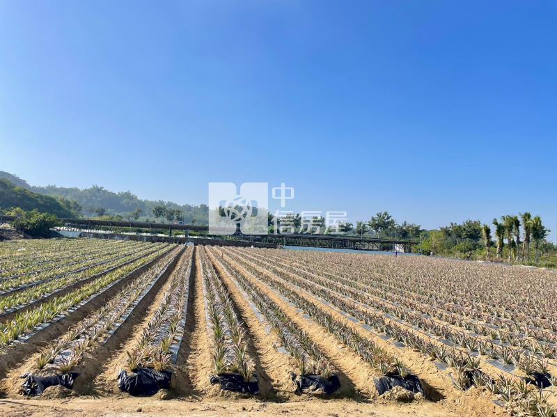 山上區花園水道博物館旁一般農地房屋室內格局與周邊環境