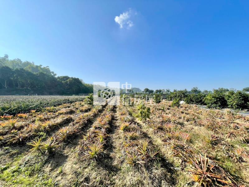 山上區花園水道博物館旁一般農地房屋室內格局與周邊環境
