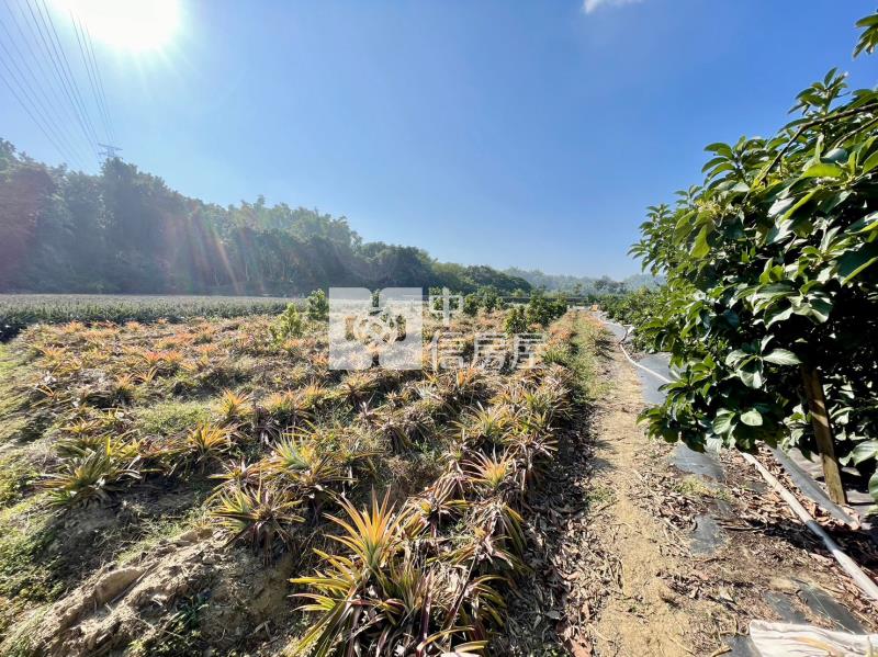 山上區花園水道博物館旁一般農地房屋室內格局與周邊環境