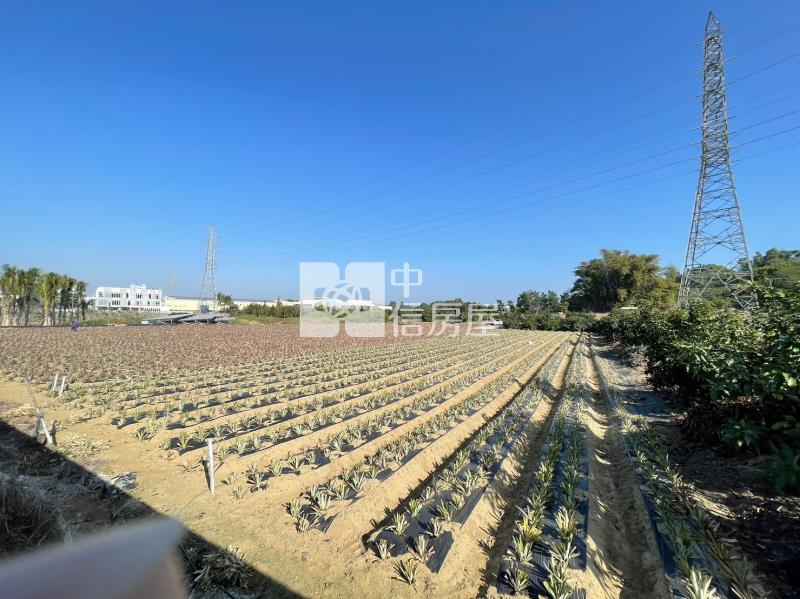 山上區花園水道博物館旁一般農地房屋室內格局與周邊環境