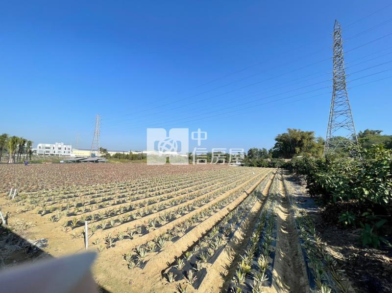 山上區花園水道博物館旁一般農地房屋室內格局與周邊環境