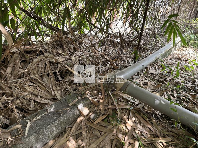 屏東土地《鹽埔方正美農地》房屋室內格局與周邊環境