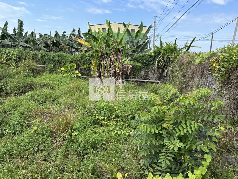 屏東土地《鹽埔方正美農地》房屋室內格局與周邊環境
