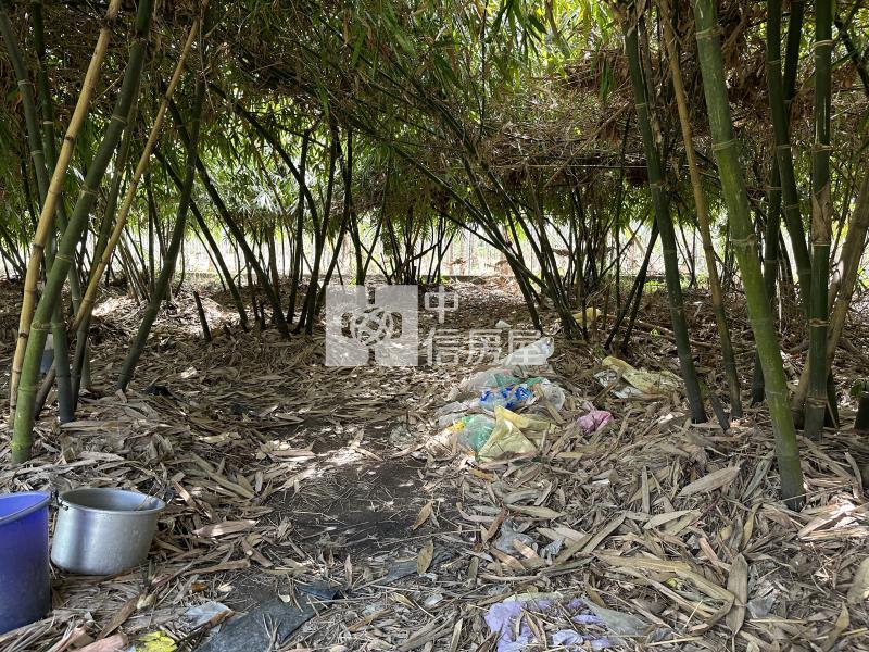 屏東土地《鹽埔方正美農地》房屋室內格局與周邊環境