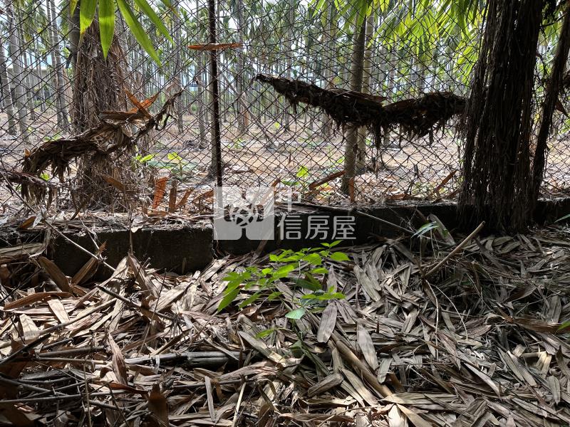 屏東土地《鹽埔方正美農地》房屋室內格局與周邊環境