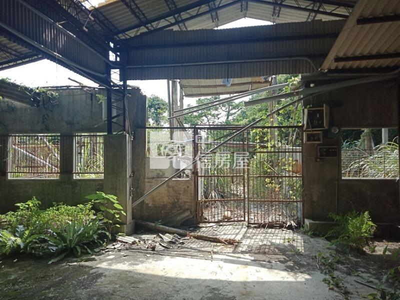 251新埔牧場建地房屋室內格局與周邊環境